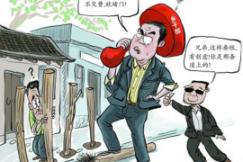 丹巴为什么选择专业追讨公司来处理您的债务纠纷？